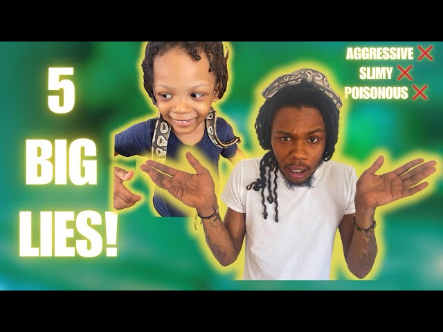 5 Myths About Ball Pythons That Had Me Fooled