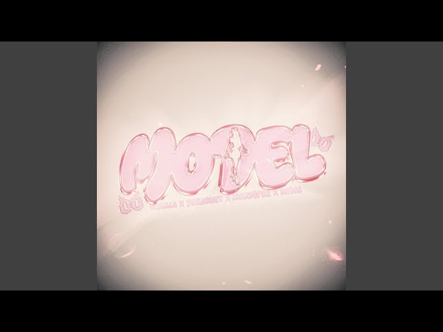 MODEL