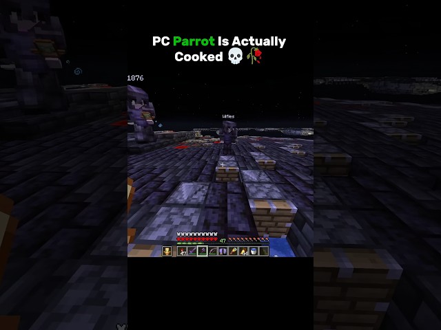 The Moment Parrot's PC Gave Up 😭
