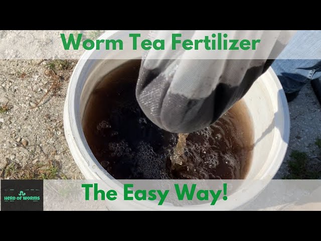 Easy Worm Tea Fertilizer