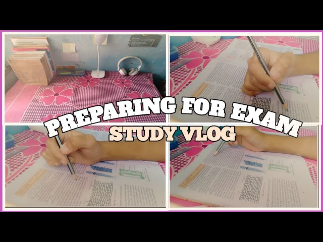 Study vlog class 9 cbse| class 9 study vlog | A day in the life of 9th grader |study motivation