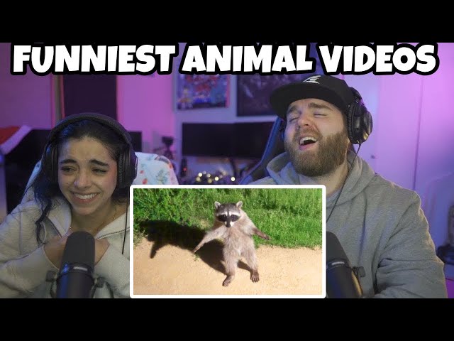 WE COULDN'T BREATHE!! Funniest Animal Videos Ever (Part 1) | First Time Reaction