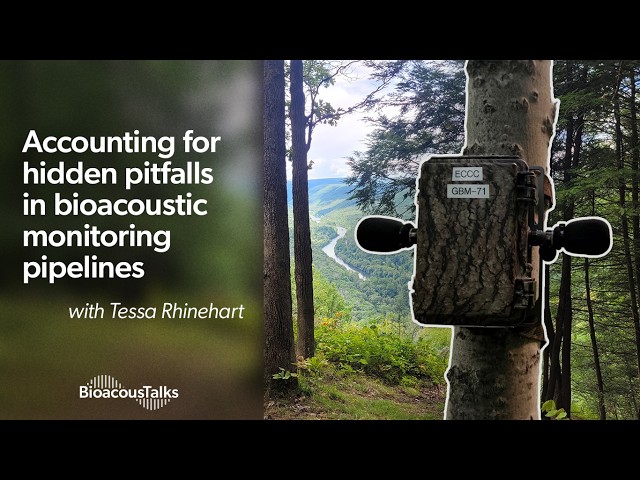 BioacousTalks: Hidden Pitfalls in Bioacoustic Monitoring Pipelines w/ Tessa Rhinehart