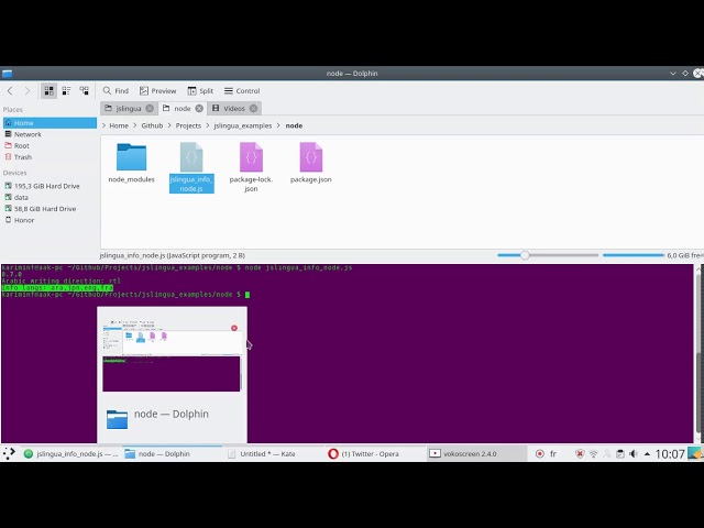 JsLingua & nodejs; Tutorial 2: JsLingua & Info modules