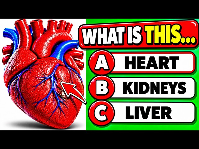🧠40 Human Body Questions Everyone Should Know 🫁🫀 | Quiz