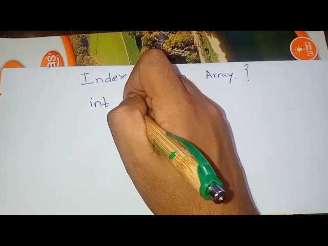 Array Index