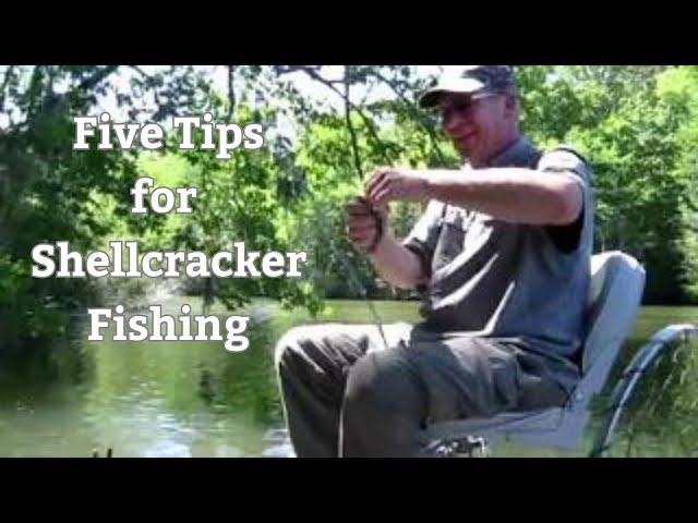 Five Tips for Shell-cracker Fishing