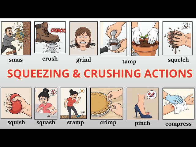 30 Dynamic Action Verbs for Squeezing & Crushing Objects | Daily English Words
