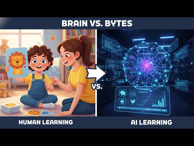 Artificial Intelligence (AI), Machine Learning (ML), Data Science (DS) Explained for Beginners