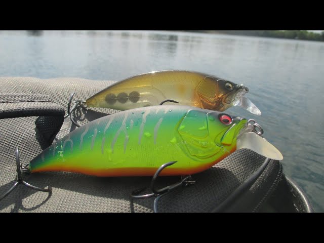 UN LEURRE TERRIBLEMENT EFFICACE POUR PÊCHER LE BROCHET : LE BIG M MEGABASS