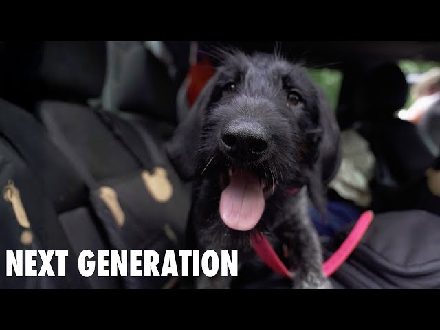 The Work Continues With The Next Generation