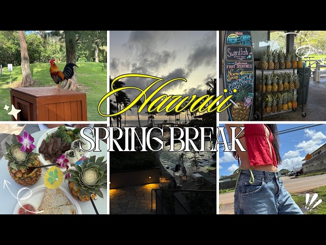 spring break in oahu!! | vlog