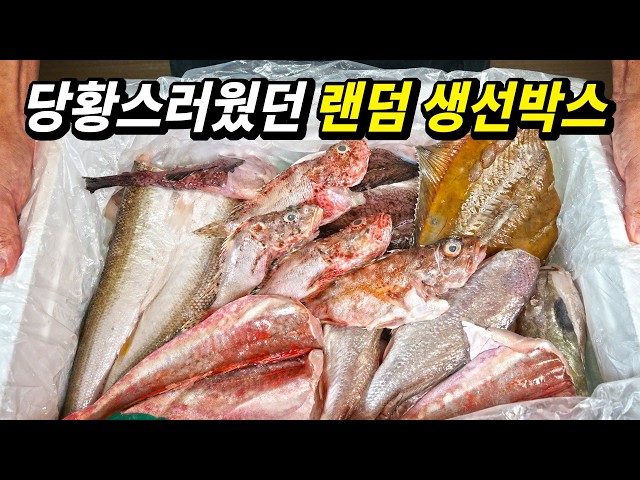 "Seller’s Choice" Clam/Fish Box... This is Honestly Out of Control (Shocking)