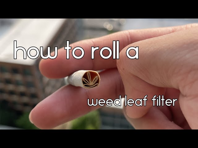 How to make a weed leaf joint filter