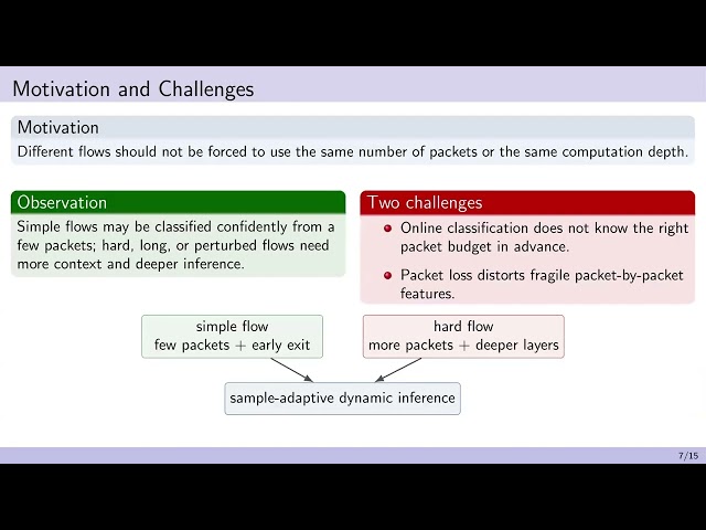 Robust Encrypted Traffic Classification via Dynamic Patch-level Feature Learning