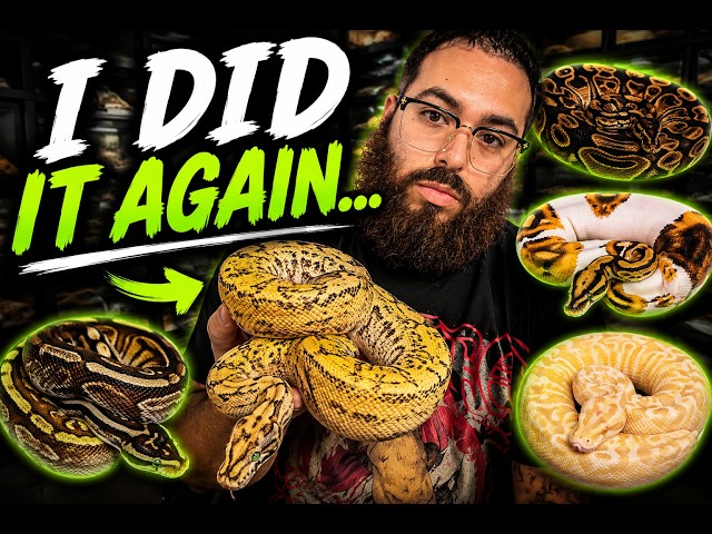 I Wasn't Supposed to Buy These......But I Did 🐍
