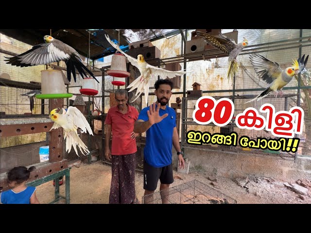 Forgot to close the cage!!! | Backyard Aviary Update | Fishing Freaks