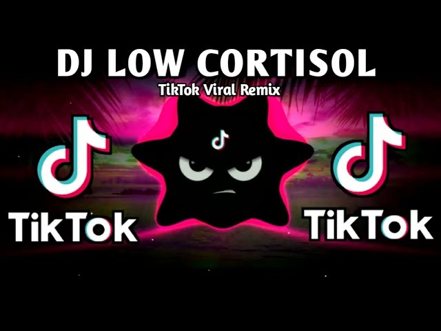 DJ LOW CORTISOL X LATEST TIKTOK DANCE (TIKTOK BUDOTS REMIX) 2026 