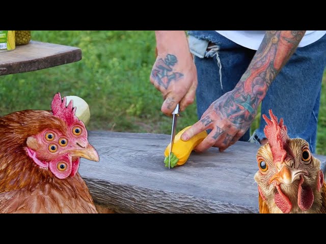 Living with Chickens as Pets: Building a Buffet Table Experience!