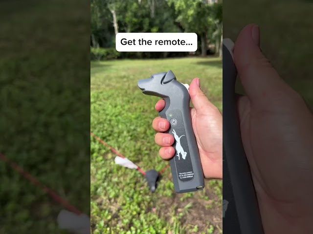 What’s this? SwiftPaws Chase!