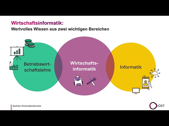 What is Business Informatics