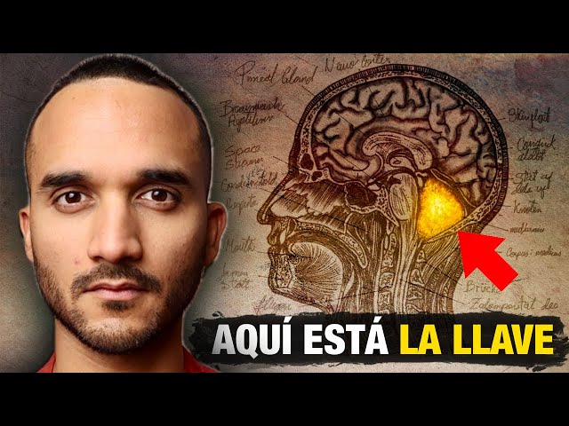 Cómo entrar en tu inconsciente: “todo lo que visualices se hará realidad”