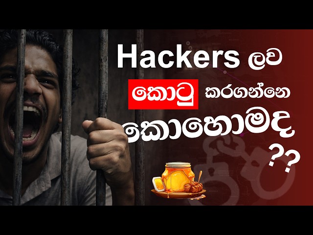 I left a Server Unprotected for 30 Days... (2 Million Attacks!) | T-Pot Honeypot  [Sinhala]