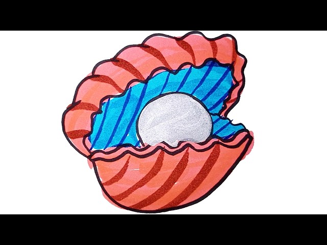 How to Draw cute Seashell with Pearl