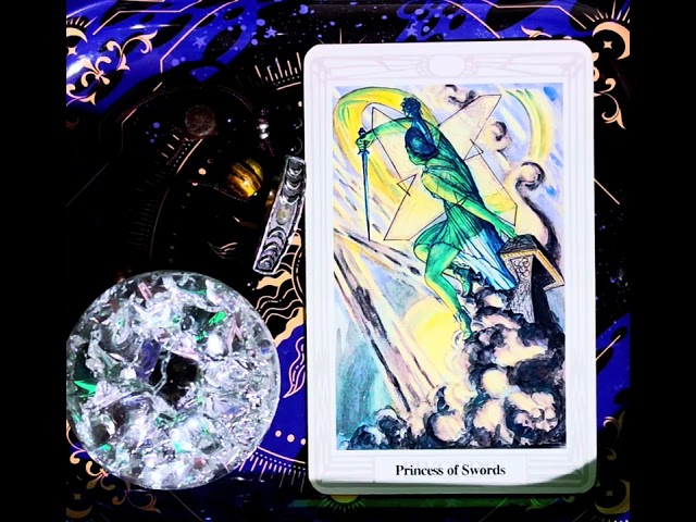 A Card For You, A Read From Me - The Princess of Swords starts the week SOThoth #shatteredorbtarot