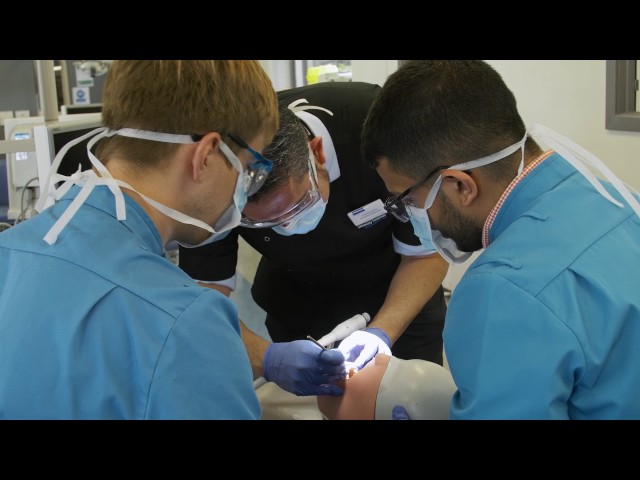 Advice to students applying to study dentistry at Manchester