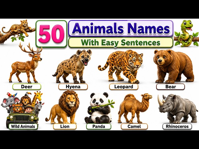 Learn 50 Animal Names with Easy Sentences | English Vocabulary for Kids