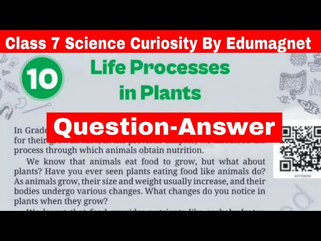 NCERT Class 7 Science Curiosity Chapter 10 Question Answer Life Processes in Plants |  EDUMAGNET