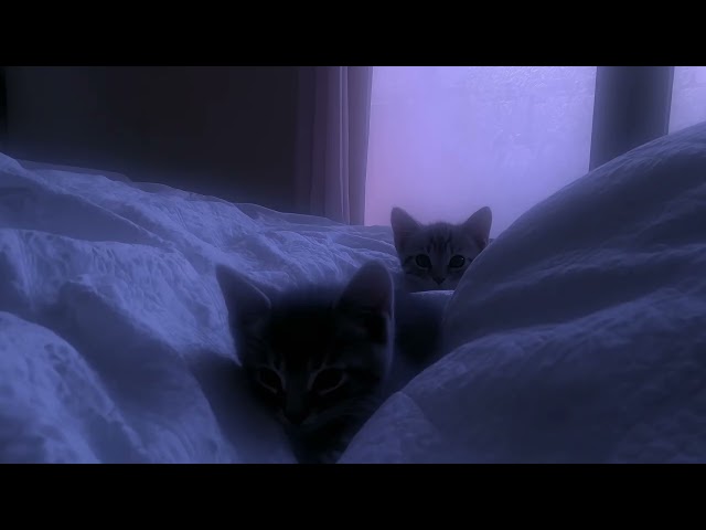 you're tired, go to bed.