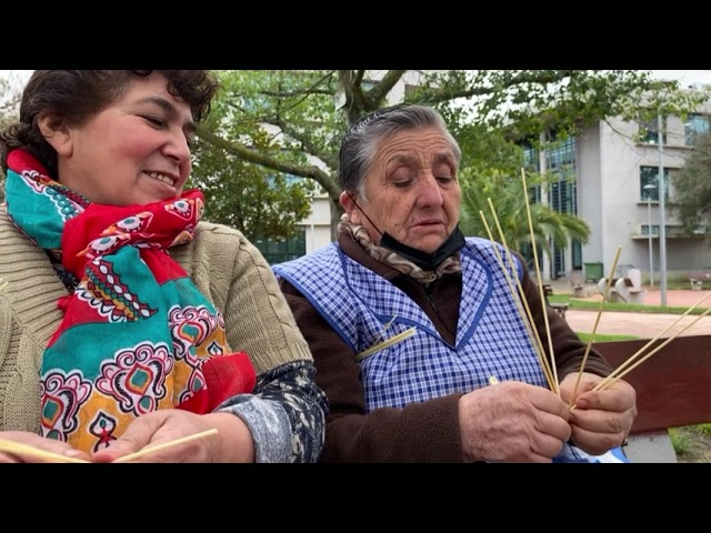 Feria campesina Trehuaco.