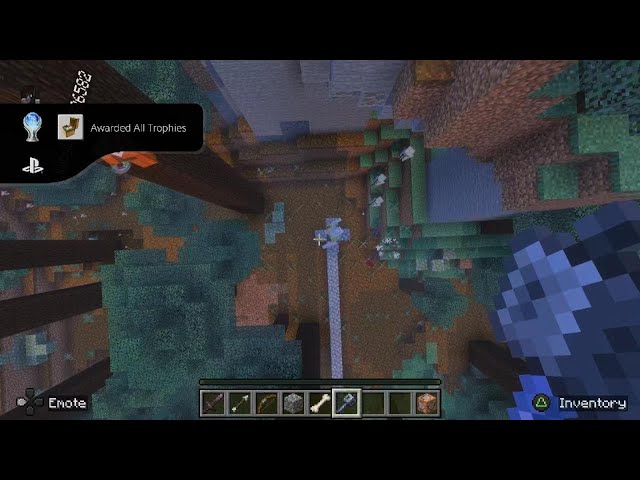 Minecraft_platinum trophy