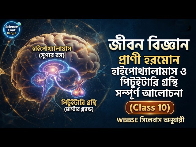 প্রাণী হরমোন | Wbbse Class 10 Life Science Chapter 1 | Animal Hormone | Hypothalamus Pituitary
