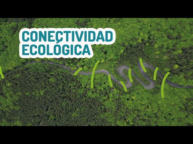 Conectividad Ecologica