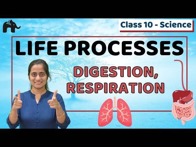 Life Processes One Shot Class 10 Science Chapter 6 Biology | CBSE NCERT  #1