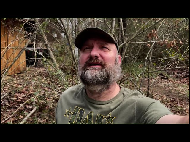 Cutting Leaning Tree Down Before Winter Storm Hits! Not a DIY Video!