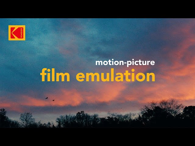 Hollywood's Best Kept Secret for Motion Picture Film Emulation