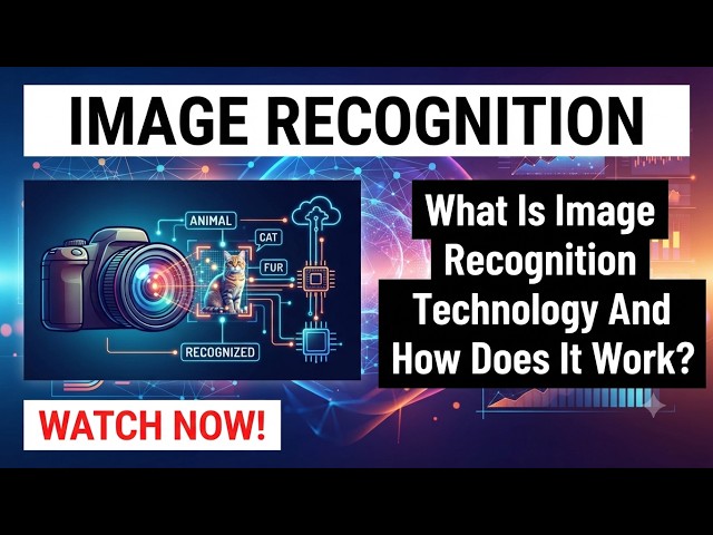 What Is Image Recognition Technology And How Does It Work? | The Meaning Of Image Recognition
