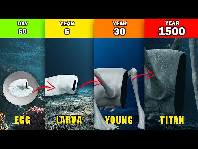 Each Sea Eater Life's Growth Phases Explained