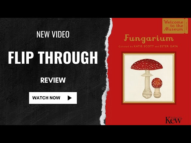 Fungarium (Mini Gift Edition) Welcome to the Museum