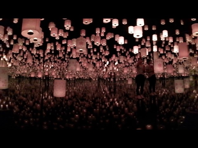 360-degree view of “Walt Disney Animation Studios Tangled Experience powered by teamLab”