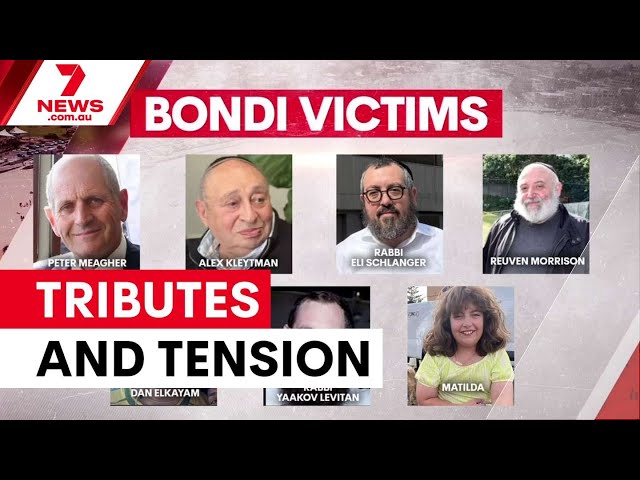 Bondi Beach terror attack prompts major gun law overhaul | 7NEWS