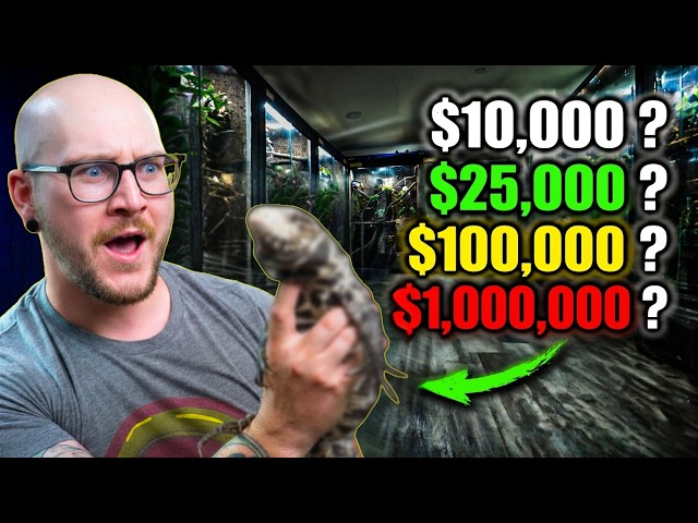 Reptile Room Tour | This is How Much It Costs