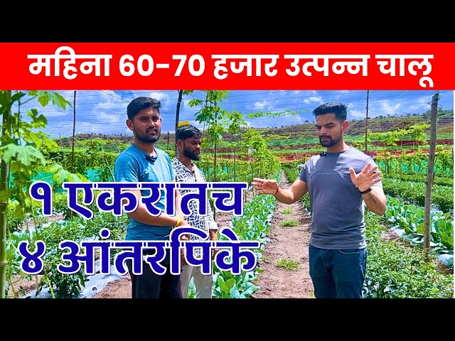नोकरी सोडून शेती! | 21 वर्षांचा तरुण 1 एकरात 4 पिके घेऊन कमवतोय 70,000/महिना | Pragatshil Sheti