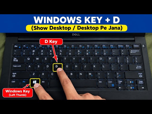 Windows Key + D Shortcut Key Use in Laptop/PC | Windows Shortcut Keys