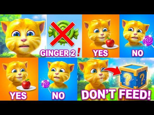 Don't Feed Ginger This! ❌🍭 Talking Ginger 2 Mystery Food |