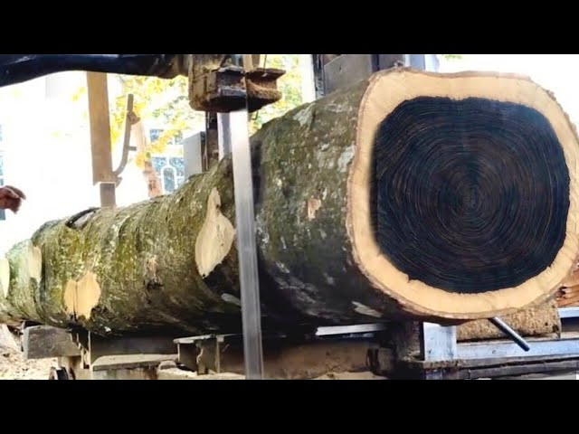 🌲The Longest Black Grain Rare Wood Ever - at the Sawmill🌲